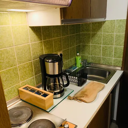 Appartement Mit Bademantelgang Zur Wohlfuehltherme Bad Griesbach  Exterior photo